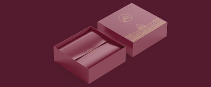 corporate-box-1